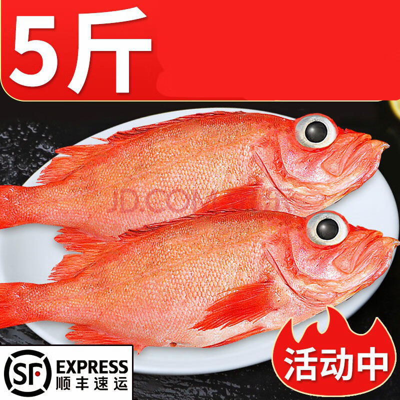 精品红鲜活冷冻新鲜富贵鱼龙胆鱼海鲜 腾旺纳跃 5斤大号