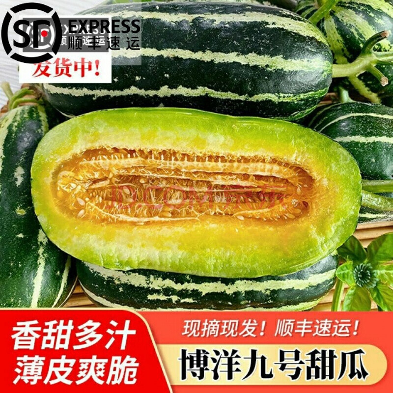 顺丰 博洋9号甜瓜新鲜水果香瓜酥脆超甜整箱批发 五斤精品大甜瓜