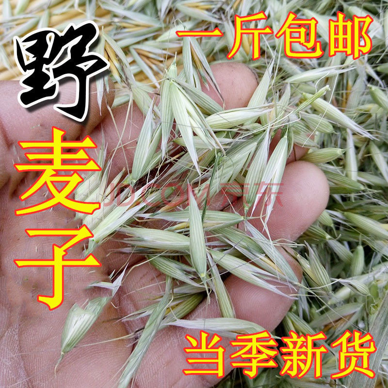 中药材正宗野麦子壳 野生浮小麦带壳野子 雀麦野燕麦茶500g克 新货500