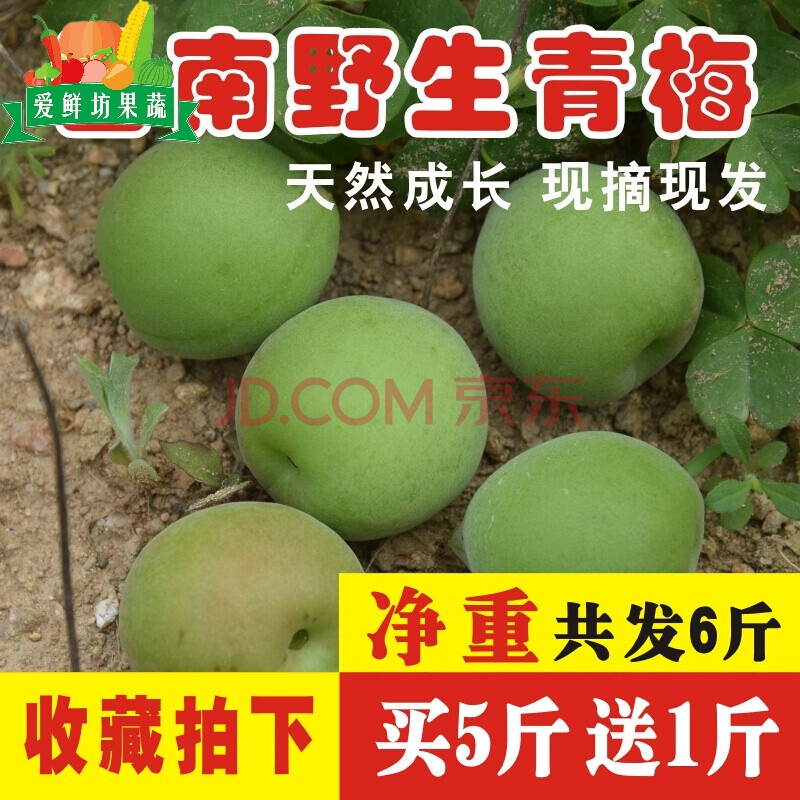 云南青梅果 现摘新鲜酸梅子散装青梅泡酒酵素