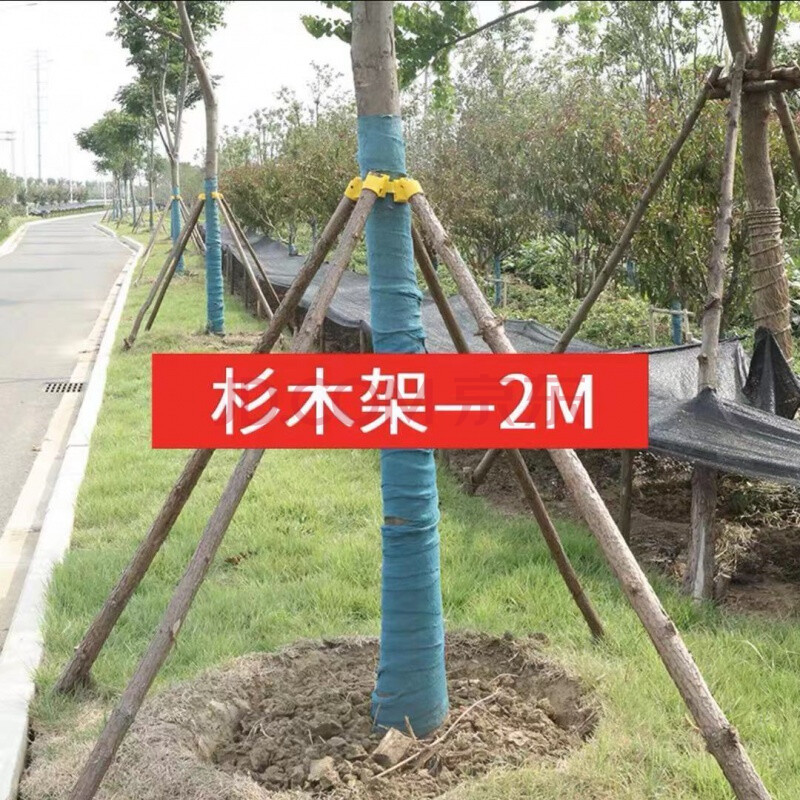 花芊茗 杉木支撑杆 树木支撑带皮 绿化支撑架 防风固定器 圆木棍 2米