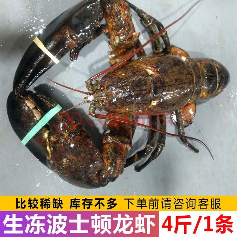 波士顿龙虾海鲜水产鲜活冷冻新鲜特大澳洲大龙虾生鲜 艾黎迪尚 生冻 1