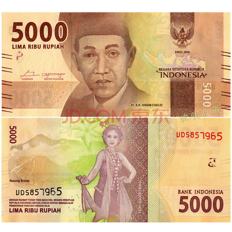 2016年 印度尼西亚纸币 世界外国钱币 仅供收藏 2016年5000印尼盾y33