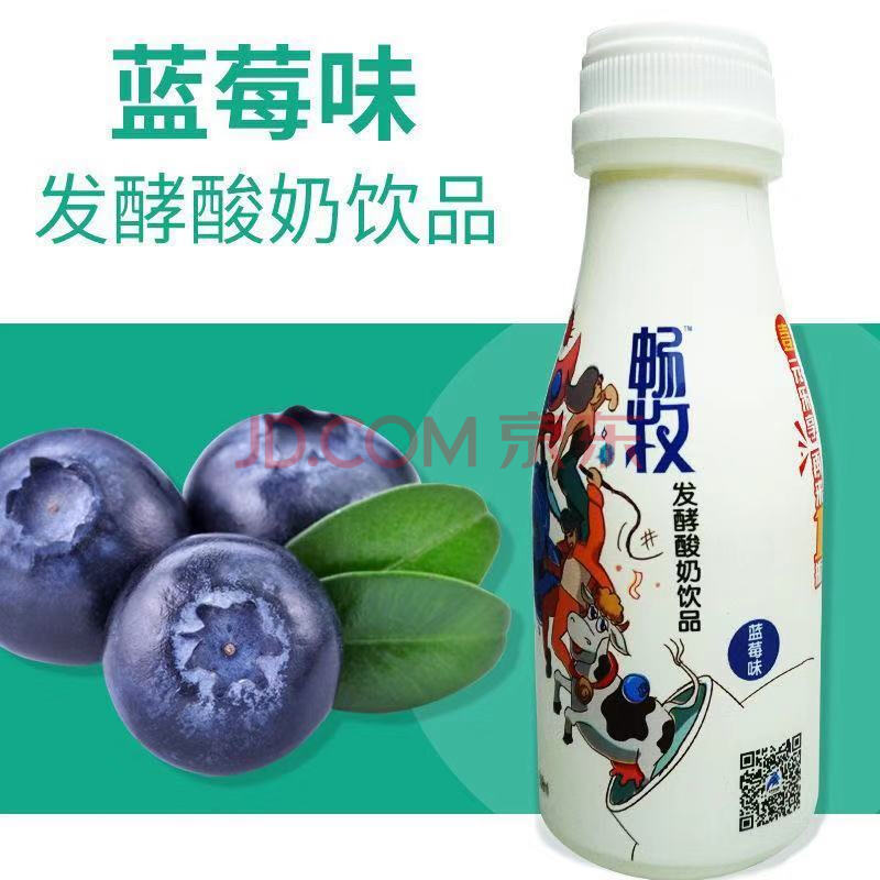 【新货】果粒奶昔代餐酸奶脱脂发酵酸奶混合蓝莓原味乳酸菌 畅牧338ml