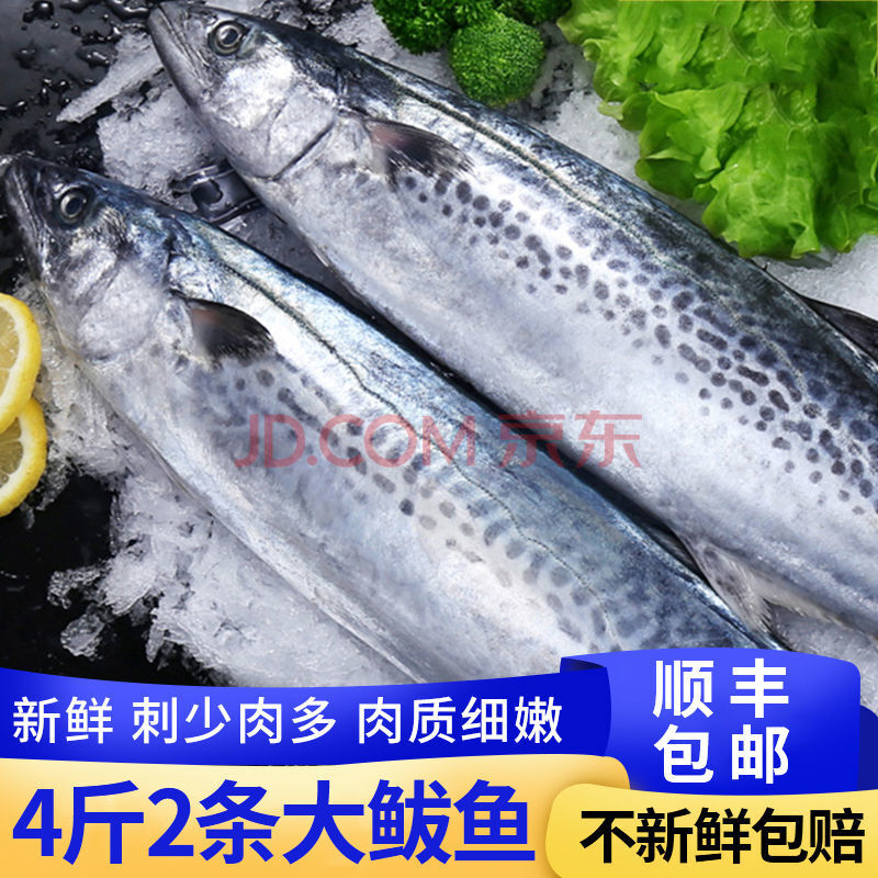 大鲅鱼马鲛鱼新鲜冷冻海鱼鲅鱼馅饺子海鲜水产 整条鲅鱼4斤(约2条)