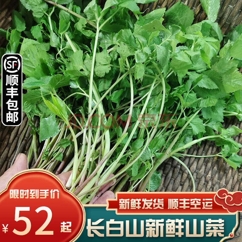 顺丰空运 东北长白山新鲜山菜野生山野菜大叶芹山芹菜250克每份4份