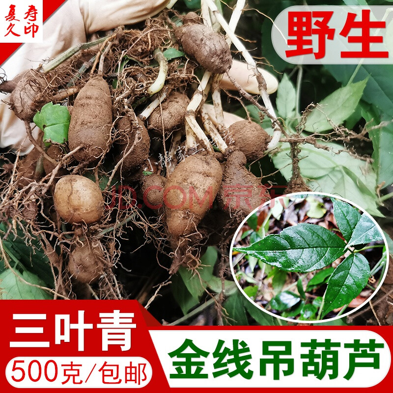 康中尊 野生三叶青蛇附子金线吊葫芦丝线吊金钟中草药原材料材500g