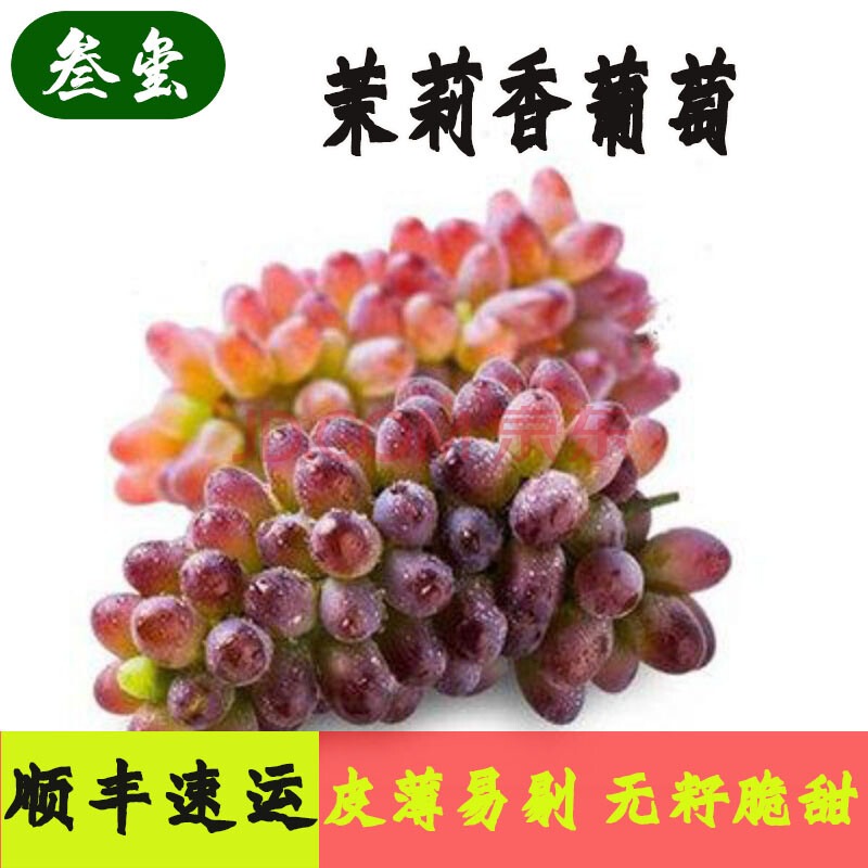 【顺丰速发】新品茉莉香葡萄新鲜葡萄水果孕妇整箱好吃现发 5斤精品装