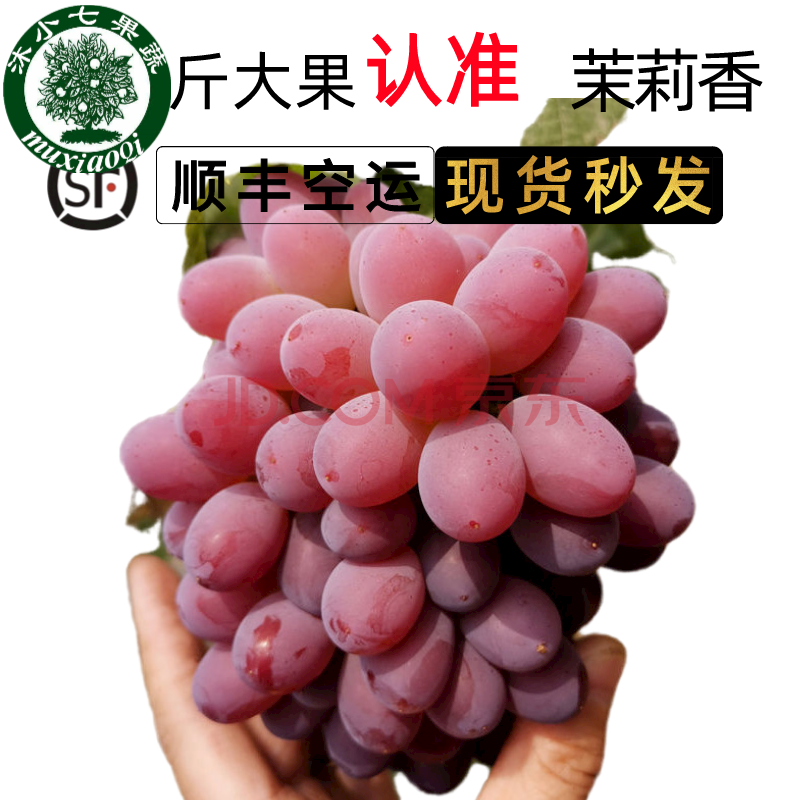 【jd顺丰-多地隔日达】茉莉香葡萄 郁金香葡萄 应季新鲜水果无籽葡萄