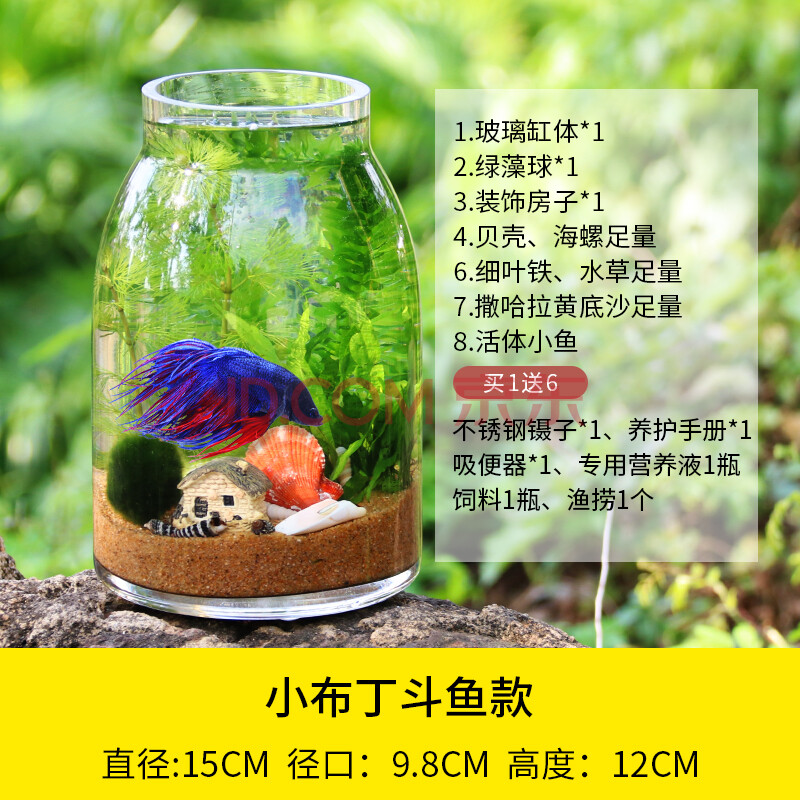 斗鱼缸生态瓶鱼免换水微景观玻璃水族箱造景创意办公桌面生态鱼缸 小
