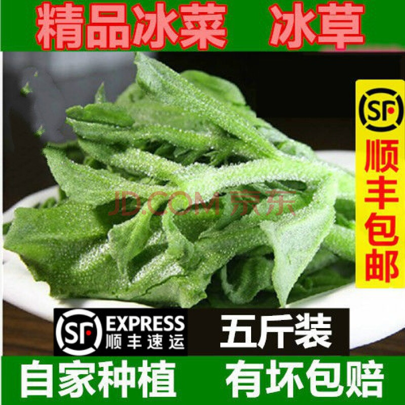 【顺丰】山东新鲜冰菜农家新鲜蔬菜火锅即食生吃沙拉菜顺丰 三斤冰菜