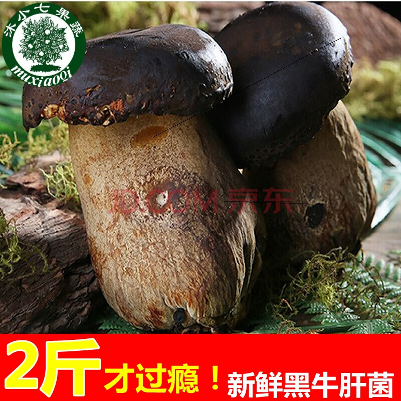 黑牛肝菌1000g野生云南省特产新鲜菌子野生菌类鲜货见手青鲜菌菇