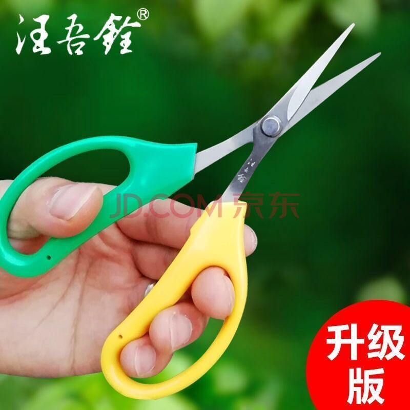 张小泉园艺剪刀家用葡萄果树采橘修枝剪子摘果剪园林粗枝修花工具 汪