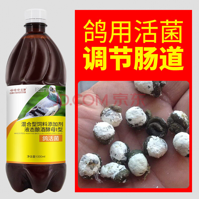 活菌王鸽用活菌鸽子药大全常见病赛鸽药调理肠道拉稀水便绿便赛鸽专用