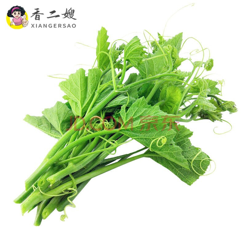 新鲜南瓜尖菜当季农家蔬南瓜藤苗洋瓜尖龙须菜 1000g