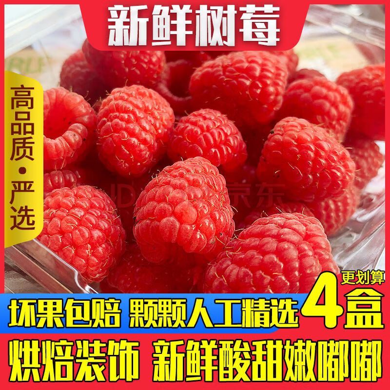 新鲜树莓红树莓覆盆子水果树莓果稀有热带水果树莓鲜果2/4盒 2盒装