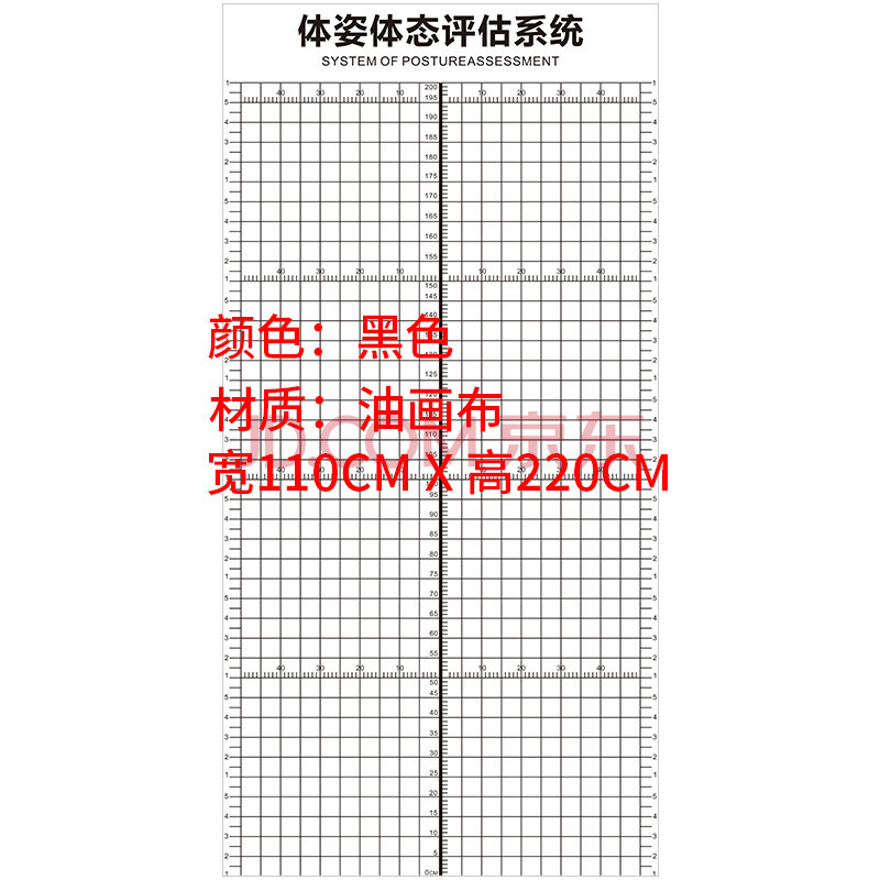 体态评估表私教健身房墙纸壁纸瑜伽馆人体测图定制壁画工作室墙布 a1