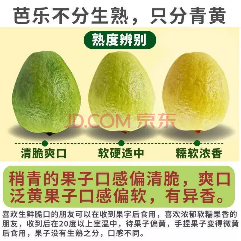 京鲜生 精品红心白心混装番石榴 10粒礼盒装 净重3斤 源头直发包邮