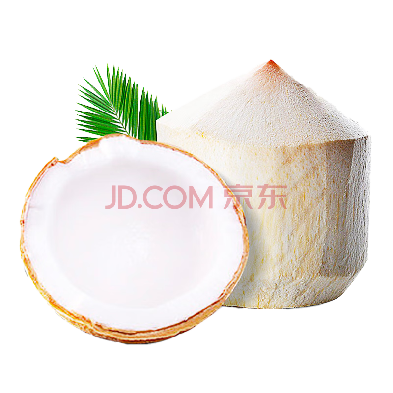 榴希希泰国-香水椰1枚 单果900克-1200克 新鲜嫩椰子煲鸡汤 椰肉Q弹爽滑