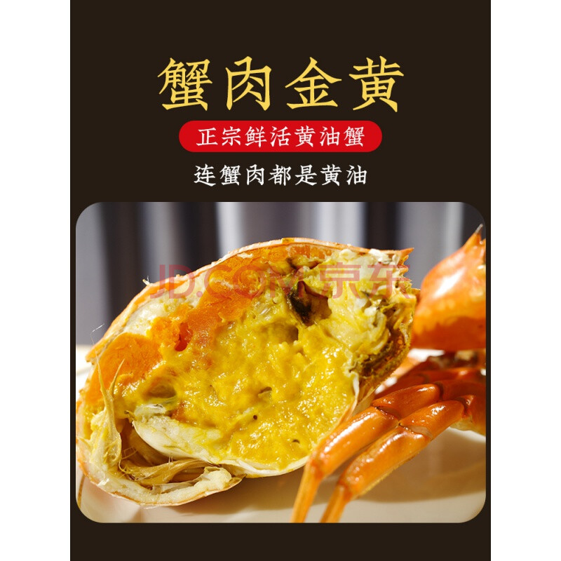 黄油蟹广东黄油蟹鲜活膏蟹红特大超大肉蟹三门5-5.5两1只装