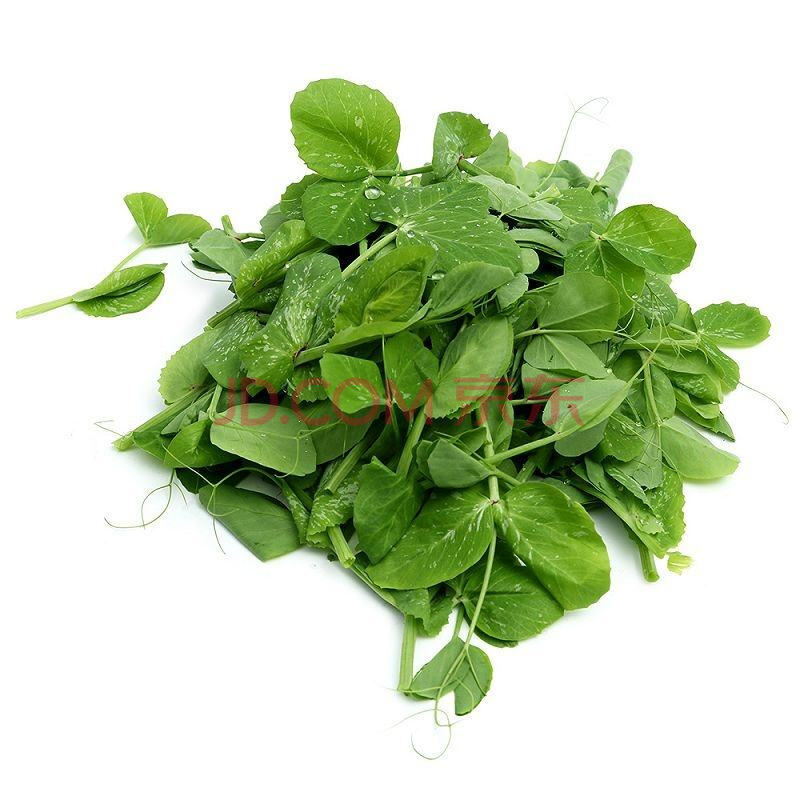 家庭阳台菜园播种甜脆豌豆苗种子嫩豆荚菜尖龙须豆豌豆尖蔬菜种子豌豆