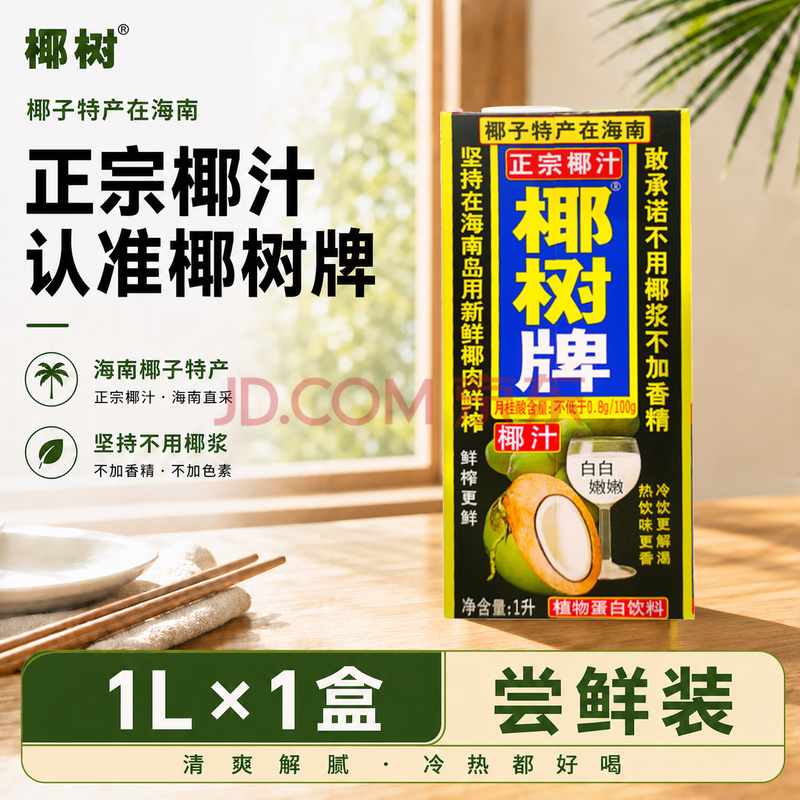 椰树牌椰汁 1L*1盒 植物蛋白饮料 正宗海南特产  中秋送礼
