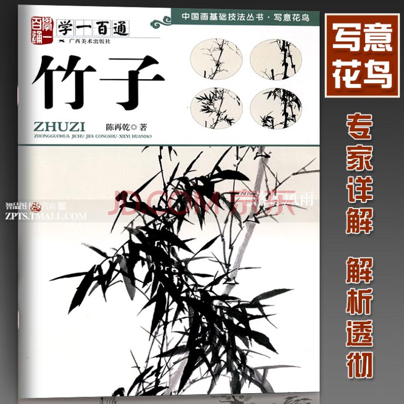 学一百通国画入门基础教程自学起步到精通国画初学者画花卉鸟禽技巧