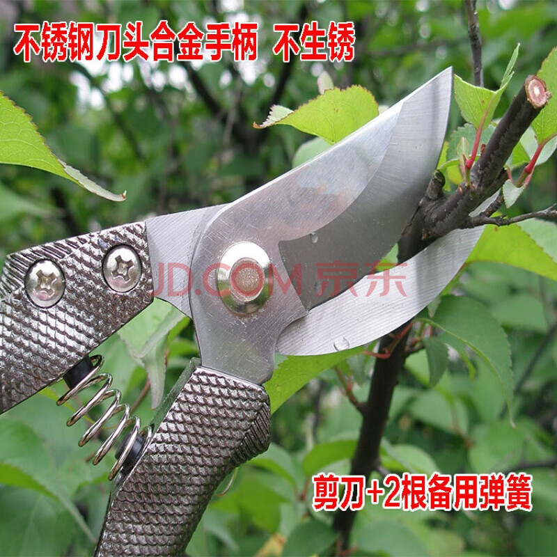 园林花木修剪工具 修枝剪 果树剪刀 整枝剪 园艺剪枝树 全新进口