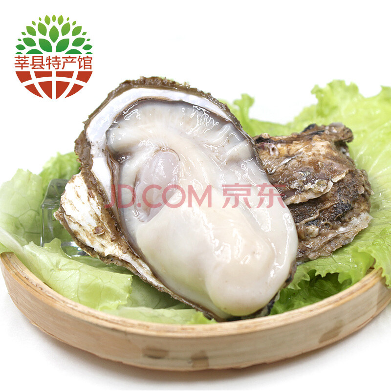 ¡¾Ý·Ïعݡ¿Èéɽĵòà ÏÊ»îÉúòºº£òÃ×Ó 2.5kg XL(90g(º¬)-120g(²»º¬)