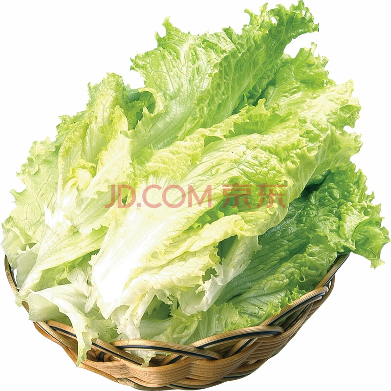 ãëÓÅÏã ÇòÉú²Ë1.5kg ÐÂÏÊÊß²Ë Î÷²Í ÈÕÌì ÉúÏÊ Å©²úÆ·Ô²Éú²Ë É«À²ËɳÀ