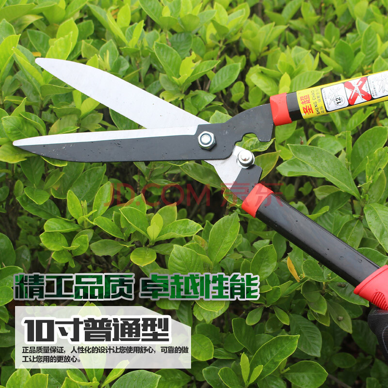 园林花木修剪刀园艺剪刀 绿篱剪树枝修枝剪 修草剪草坪剪 10寸普通版