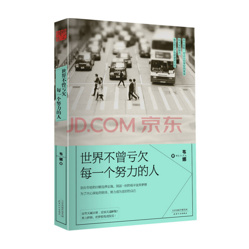 世界不曾亏欠每一个努力的人