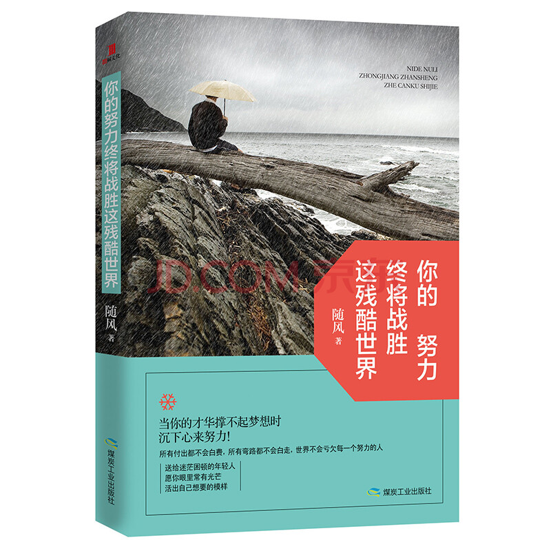 正版 你的努力终将战胜这残酷世界 青春文学小说励志书籍畅销书成功学