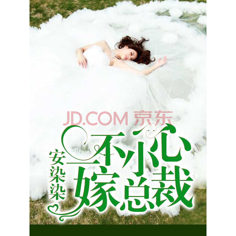 《一不小心嫁总裁》(安染染)电子书下载,在线阅读