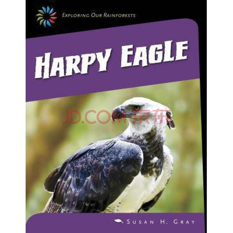 harpy eagle