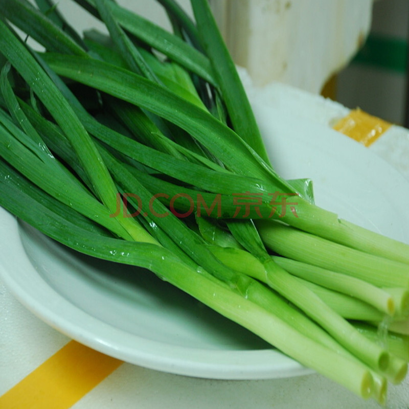 农民老史蔬菜种子 青蒜种子 蒜苗 韭葱种子 扁葱 扁叶葱 洋蒜苗图片