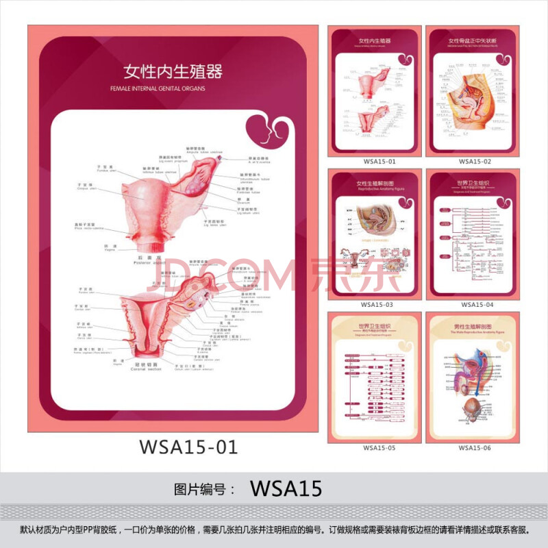 定制医院科室挂图男性女性生殖解剖图不孕症诊疗程序示意图墙贴画覆膜