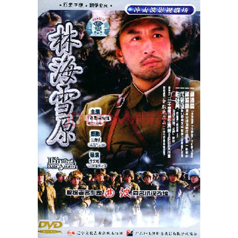 【原装◆正版】林海雪原 经济版 袋装 3dvd 王洛勇 马绍信