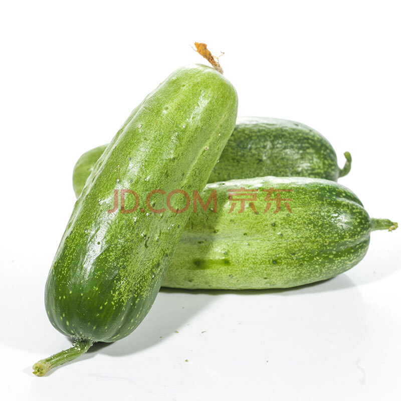 密園小農 密云本地7寸黃瓜 新鮮蔬菜 500g
