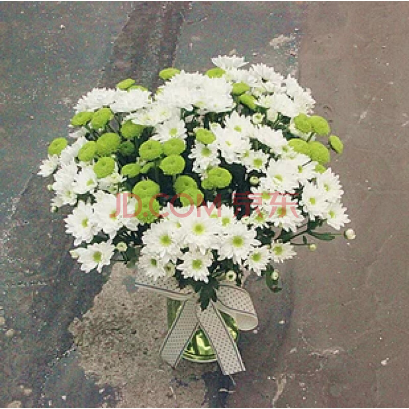 友情生日祝福小雏菊花束瓶装花送花敦化延边延吉东辽县鲜花店速递
