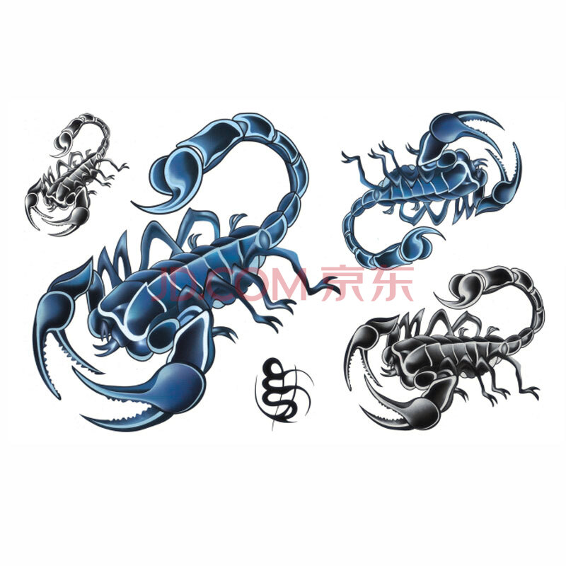 男士蝎子纹身 手稿内容图片分享