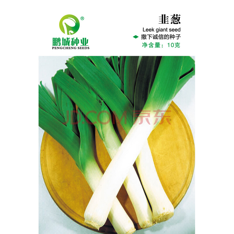 蔬菜种子 韭葱种子 青蒜 洋蒜苗 海蒜 扁叶葱 阳台盆栽蔬菜 10g/袋图片