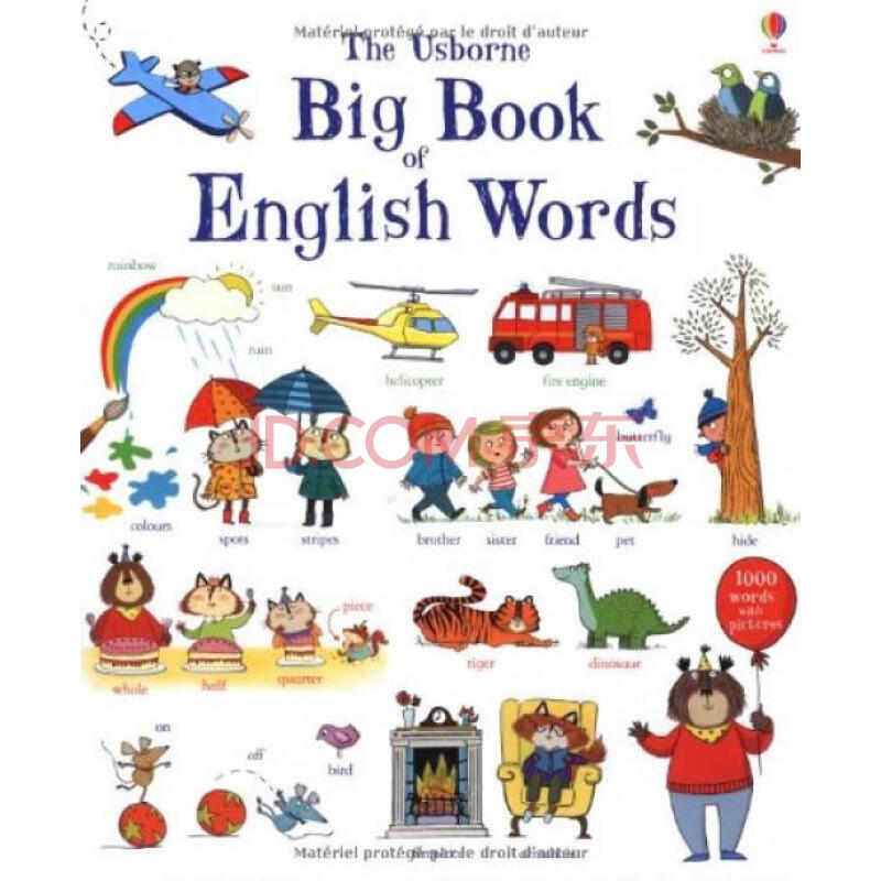 big book of english words 英语单词原版进口外文儿童绘本