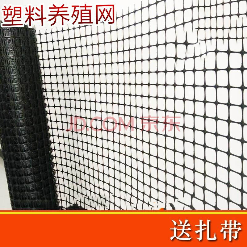 养鸡塑料围栏网阳台安全防护网隔离网鸡鸭孔雀围网漏粪网 2.