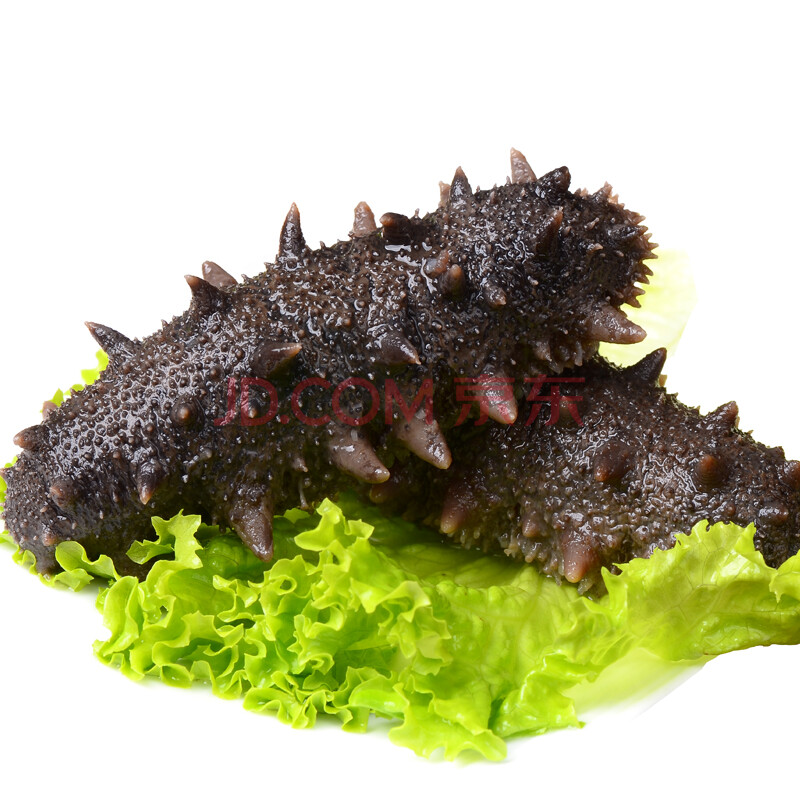 瀾珍閣 大連即食海參 高品質野生遼刺參 海鮮水產 8-22只/500克 限時買1斤送1斤 8-12只/500克