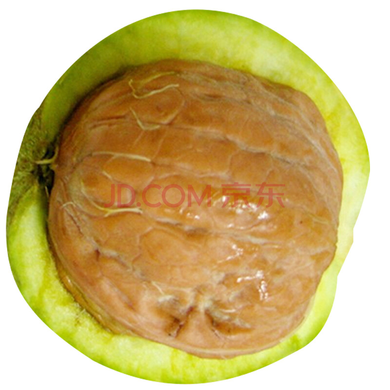 ÏÖ»õ£¡ÏÖ»õ£¡ ÉÂÎ÷ÐÂÏÊʪºËÌÒ ÇàÆ¤ºËÌÒ ÇàÆ¤ºËÌÒ2.5kg Ë͹¤¾ß