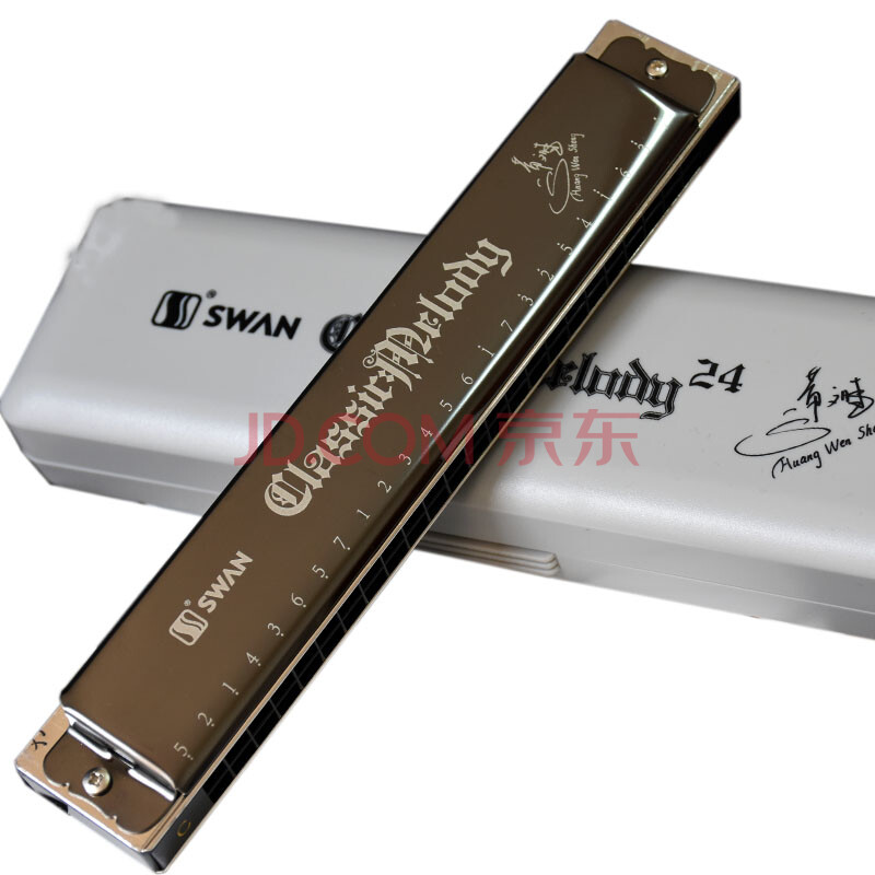 天鹅口琴24孔复音演奏版SW24HW C调 成人初