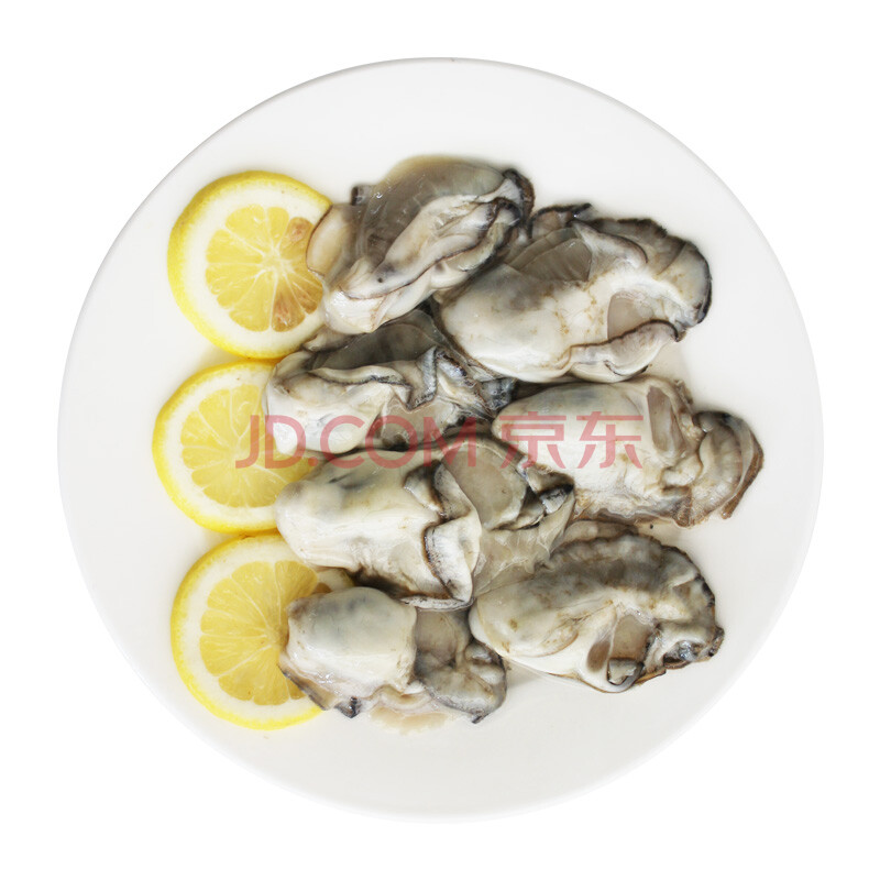 çâÊÀ ÈéɽĵòÃÈâ 500g ´ü×° ÉúòºÈ⺣ÏÊ