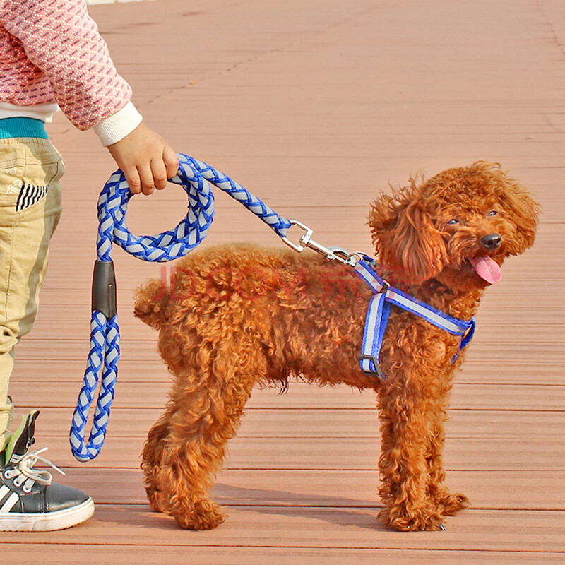 宠物牵引绳 全身反光圆绳 中小型犬 反光安全宠物狗链子狗绳子狗狗