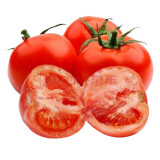 【新鲜直达】陕西泾阳普罗旺斯西红柿 沙瓤番茄2.5kg新鲜蔬菜